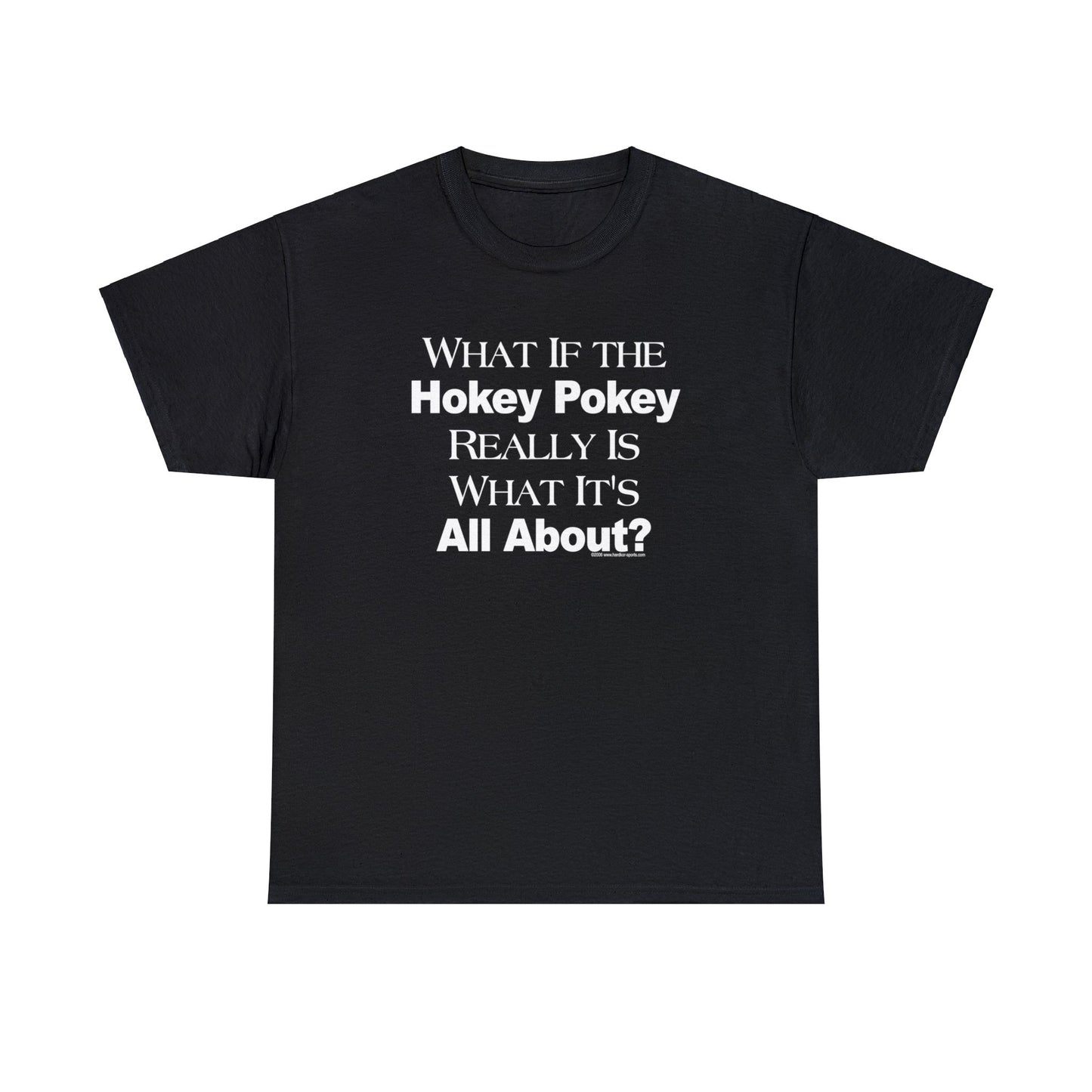 What if the Hokey Pokey Really Is What It's All About T-Shirt, Thoughtful T-Shirt, Funny Adult T-Shirt, Humorous Tee, Funny T-Shirt Gift