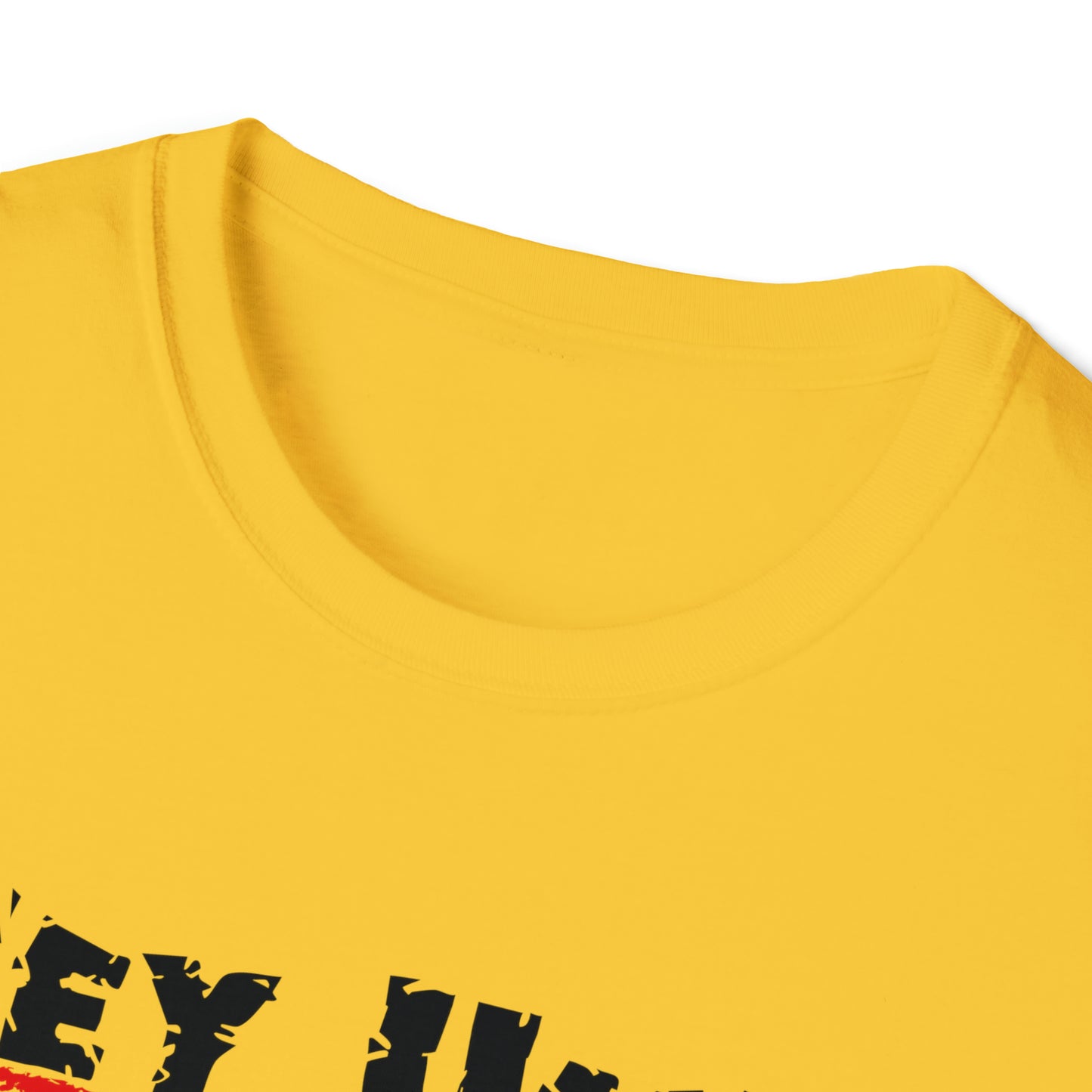 Hey Ump Funny Baseball T-Shirt, Humorous Insults and Jabs to Say to the Ump. White, Grey, Youth, Adult Umpire Humor Tee Shirt