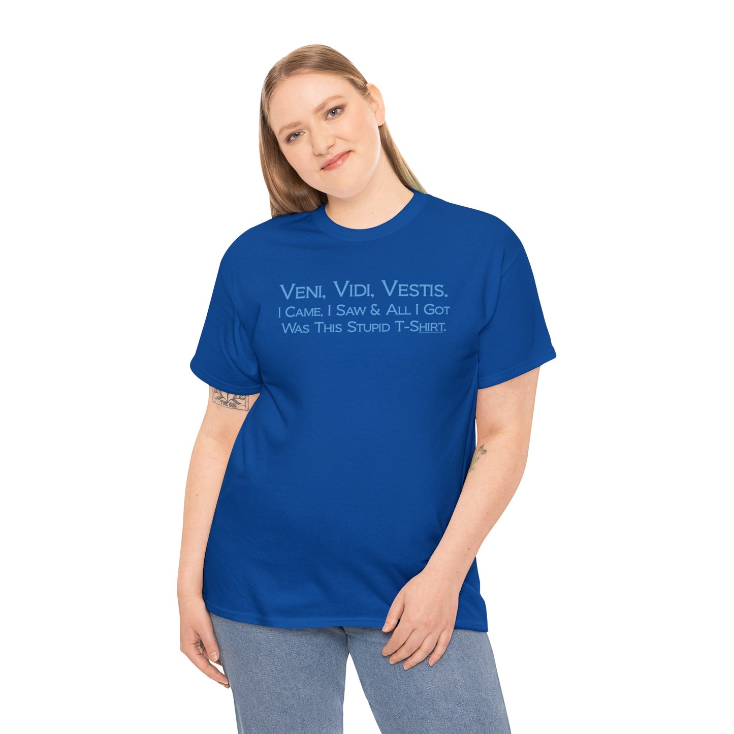Veni Vidi Vestus, I came I saw, All I Got was this Stupid T-Shirt, Latin Parody Tee, Latin T-Shirt Humor, Latin Major T-Shirt, Teacher Gift