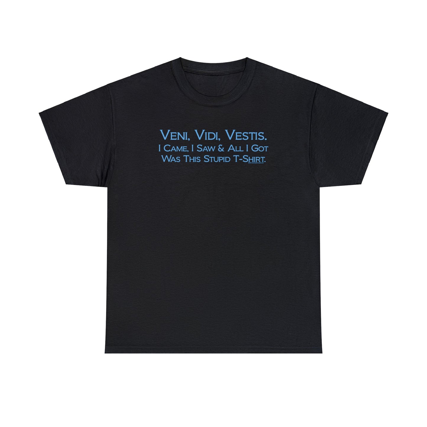 Veni Vidi Vestus, I came I saw, All I Got was this Stupid T-Shirt, Latin Parody Tee, Latin T-Shirt Humor, Latin Major T-Shirt, Teacher Gift