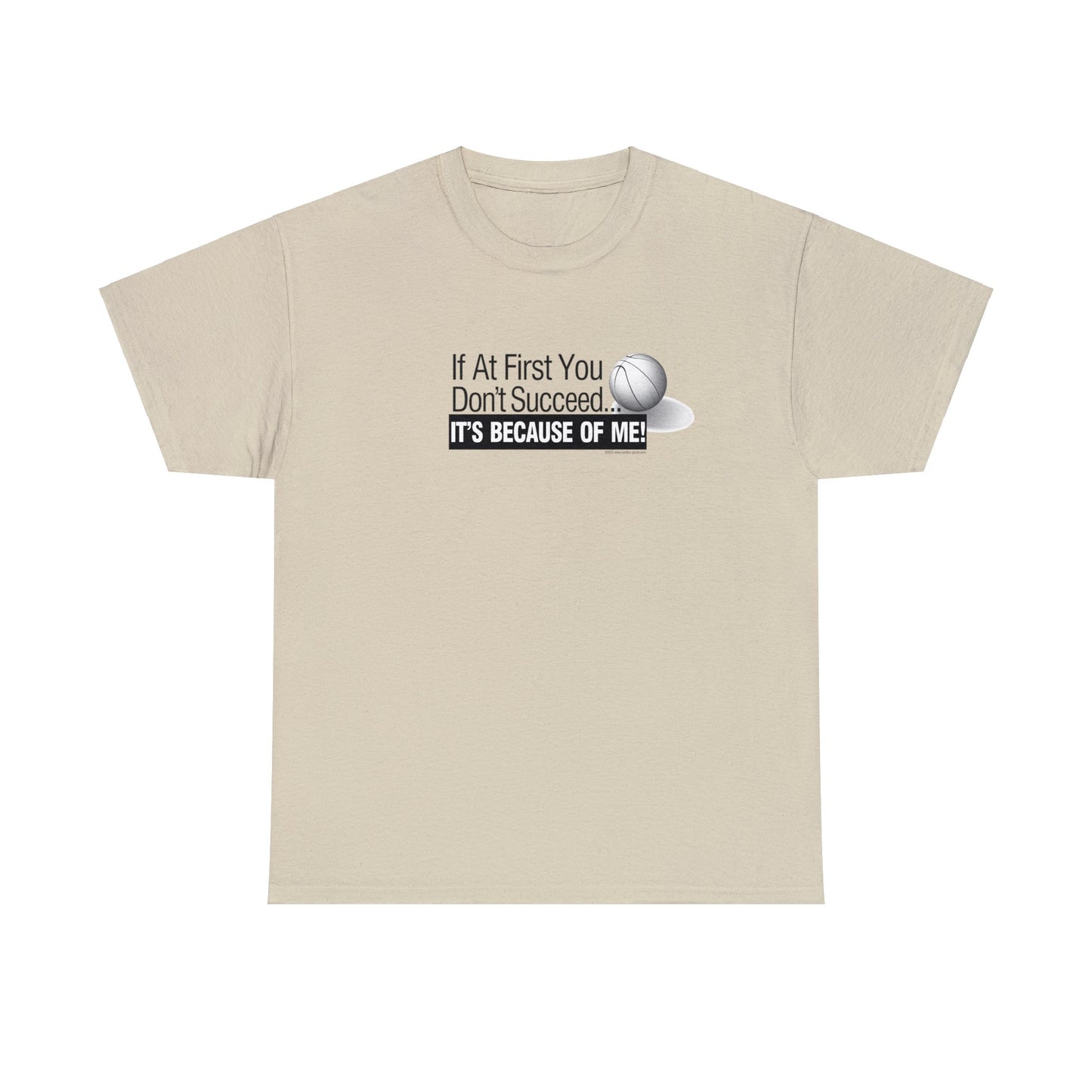 If at First You Don't Succeed, It's Because of Me, Funny Basketball T-Shirt, Basketball Humor, Humorous Hoops Tee, Christmas Gift