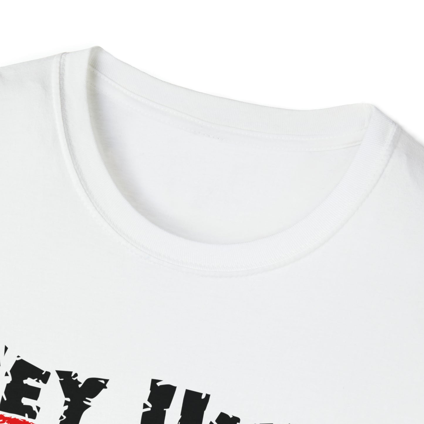 Hey Ump Funny Baseball T-Shirt, Humorous Insults and Jabs to Say to the Ump. White, Grey, Youth, Adult Umpire Humor Tee Shirt