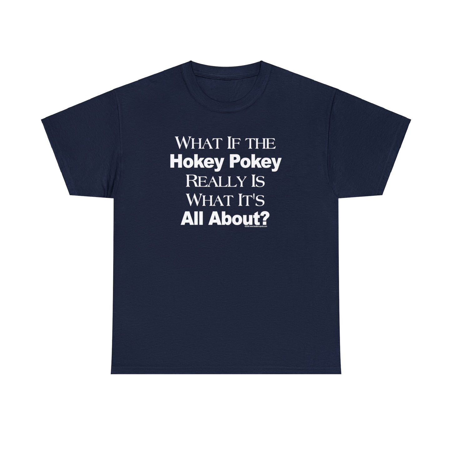 What if the Hokey Pokey Really Is What It's All About T-Shirt, Thoughtful T-Shirt, Funny Adult T-Shirt, Humorous Tee, Funny T-Shirt Gift