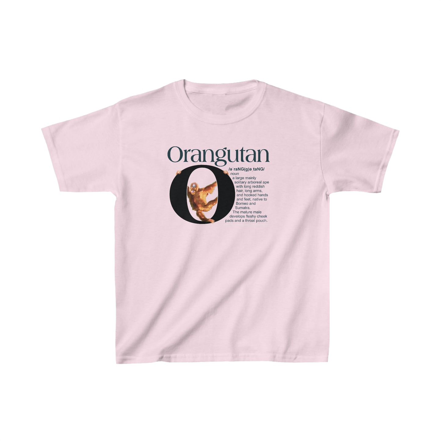 O is for Orangutan t-shirt, Funny Orangutan hanging from letter O, Drawing T-Shirt, animal t-shirt, animal alphabet T, animal letters Tee
