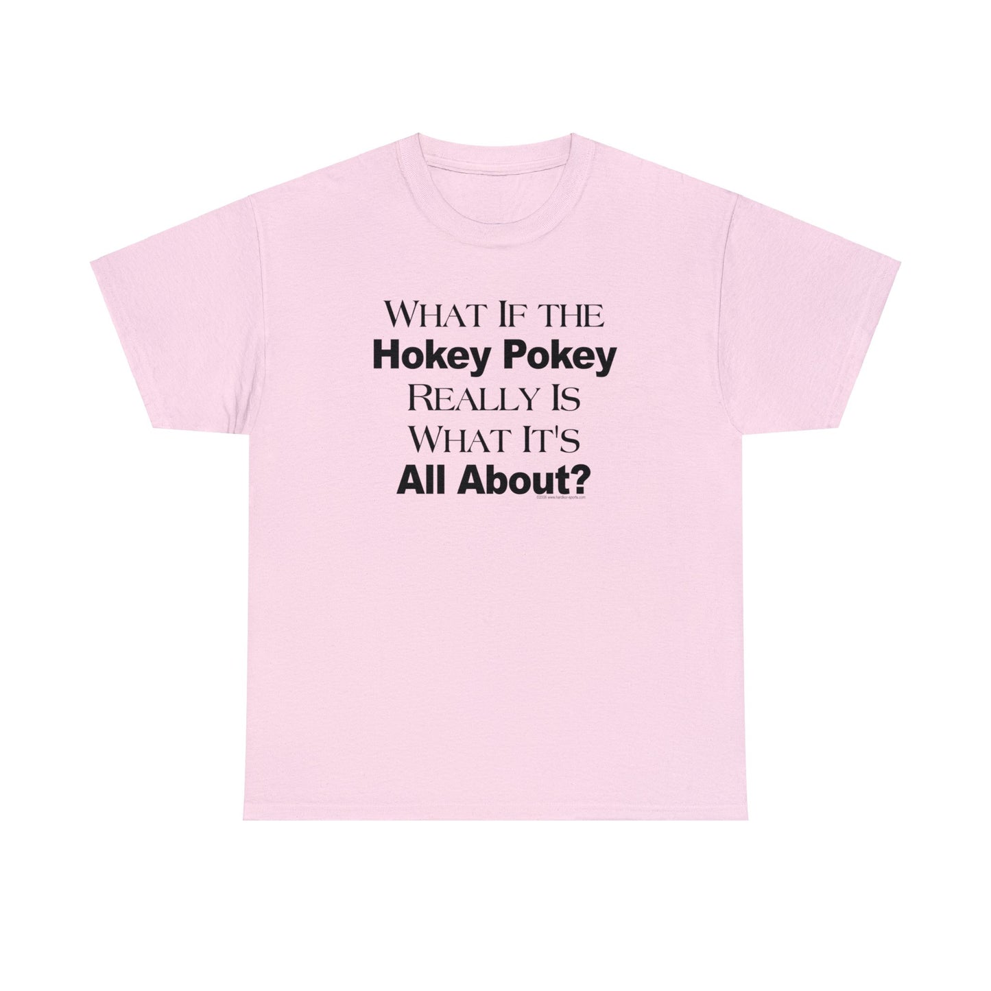 What if the Hokey Pokey Really Is What It's All About T-Shirt, Thoughtful T-Shirt, Funny Adult T-Shirt, Humorous Tee, Funny T-Shirt Gift