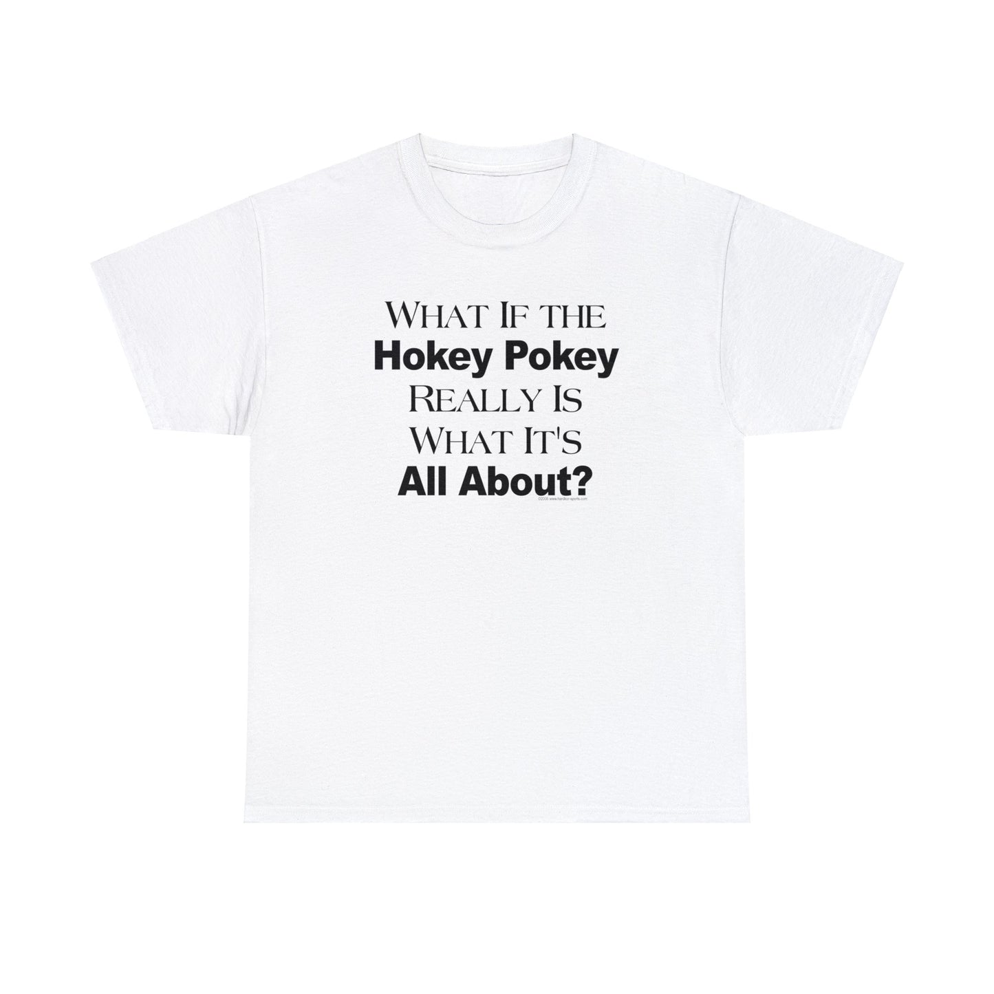 What if the Hokey Pokey Really Is What It's All About T-Shirt, Thoughtful T-Shirt, Funny Adult T-Shirt, Humorous Tee, Funny T-Shirt Gift