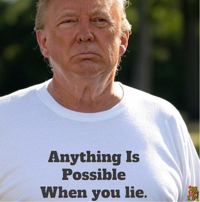 Graphic Tee - Donald Trump 'Anything is Possible When You Lie' Design