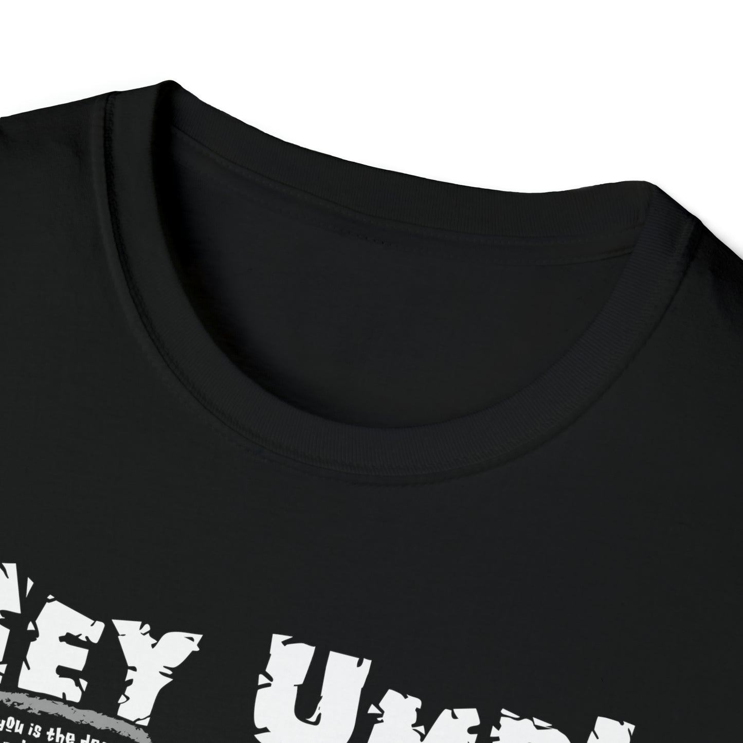 Hey Ump Funny Baseball T-Shirt, Humorous Insults and Jabs to Say to the Ump. White, Grey, Youth, Adult Umpire Humor Tee Shirt