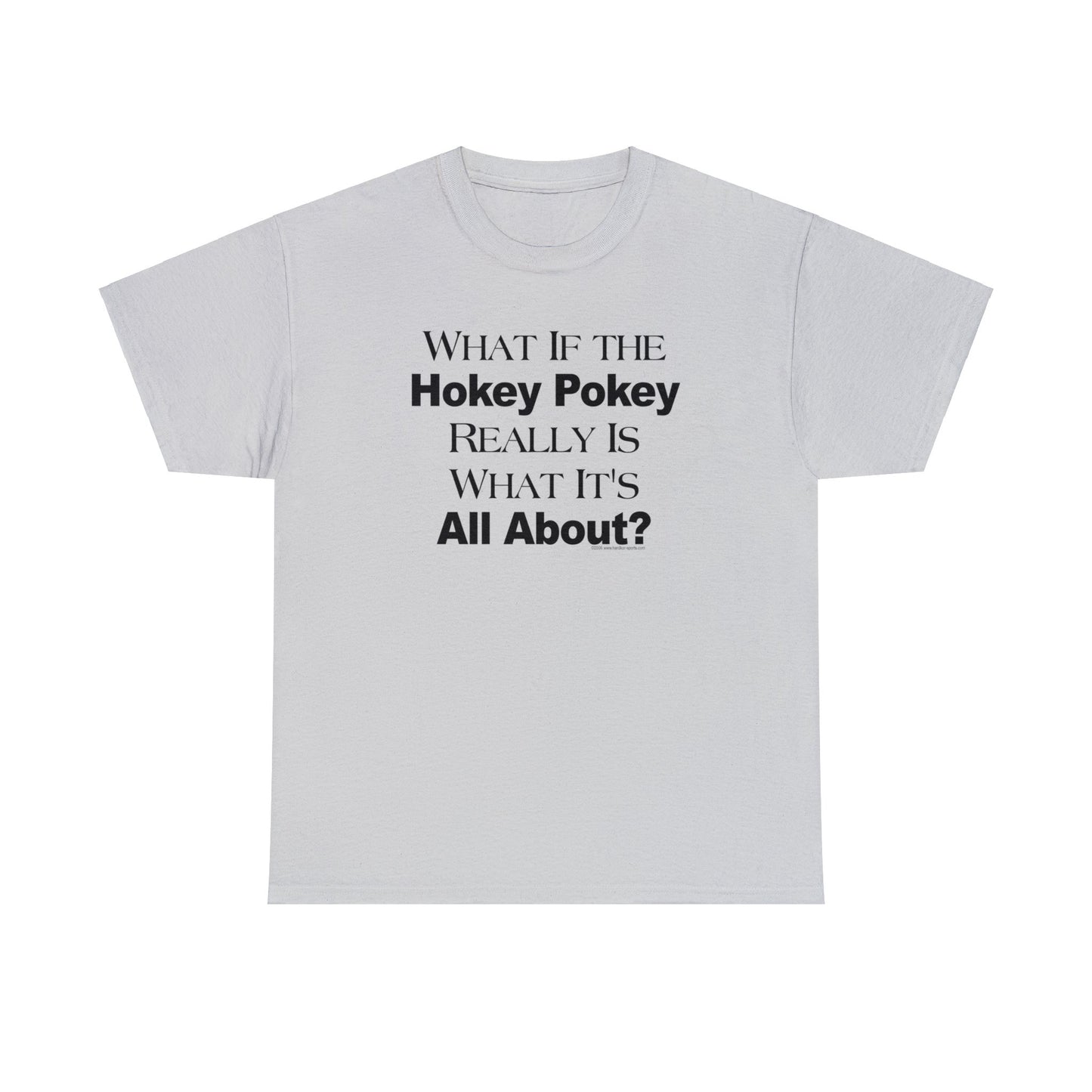 What if the Hokey Pokey Really Is What It's All About T-Shirt, Thoughtful T-Shirt, Funny Adult T-Shirt, Humorous Tee, Funny T-Shirt Gift