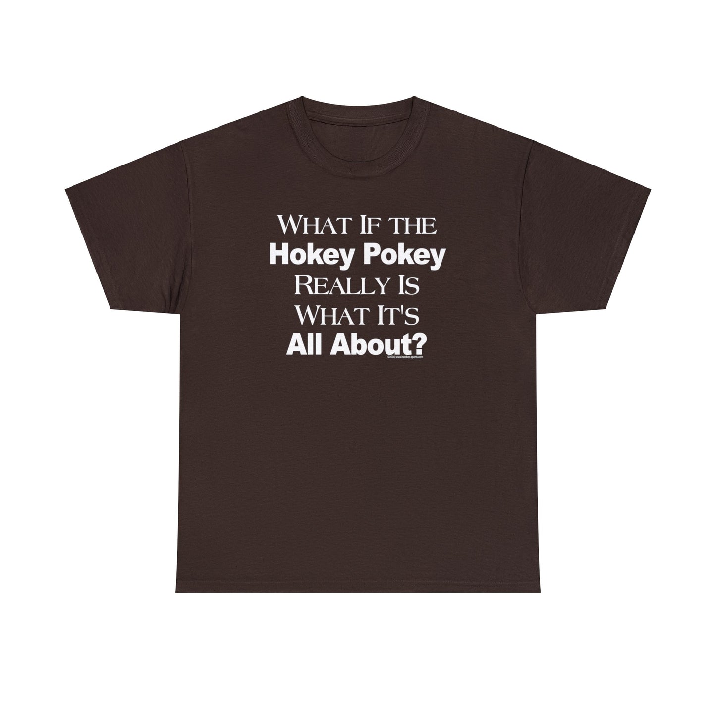 What if the Hokey Pokey Really Is What It's All About T-Shirt, Thoughtful T-Shirt, Funny Adult T-Shirt, Humorous Tee, Funny T-Shirt Gift