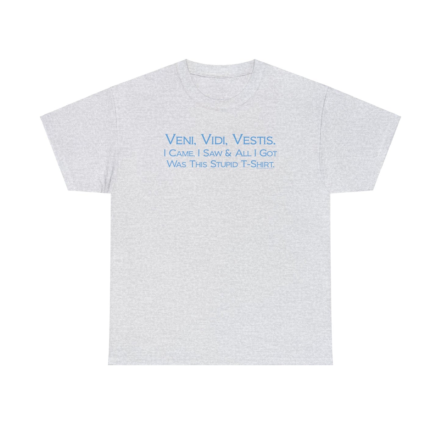 Veni Vidi Vestus, I came I saw, All I Got was this Stupid T-Shirt, Latin Parody Tee, Latin T-Shirt Humor, Latin Major T-Shirt, Teacher Gift