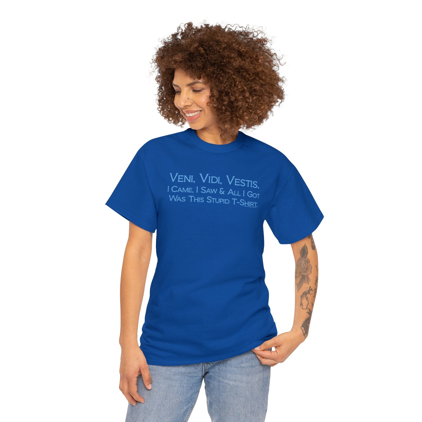 Veni Vidi Vestus, I came I saw, All I Got was this Stupid T-Shirt, Latin Parody Tee, Latin T-Shirt Humor, Latin Major T-Shirt, Teacher Gift