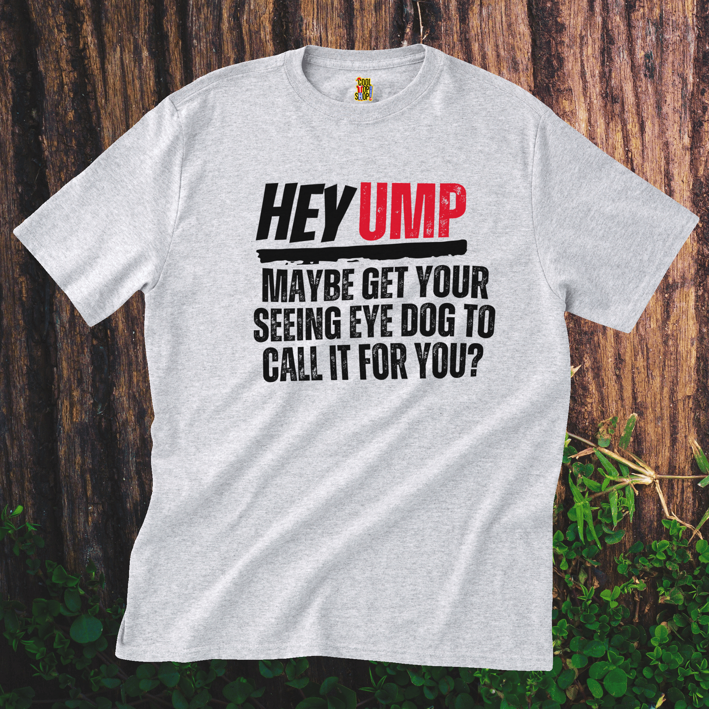 Funny Baseball T-Shirt - Hey Ump Maybe Get Your Seeing Eye Dog to Call It for You, Sports Tee, Baseball Fan Shirt, Humorous Graphic Tee,