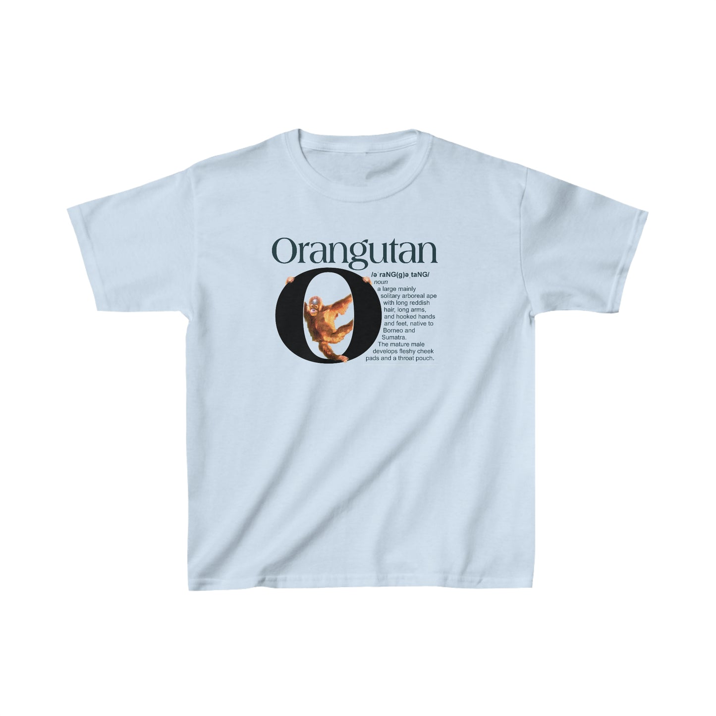 O is for Orangutan t-shirt, Funny Orangutan hanging from letter O, Drawing T-Shirt, animal t-shirt, animal alphabet T, animal letters Tee