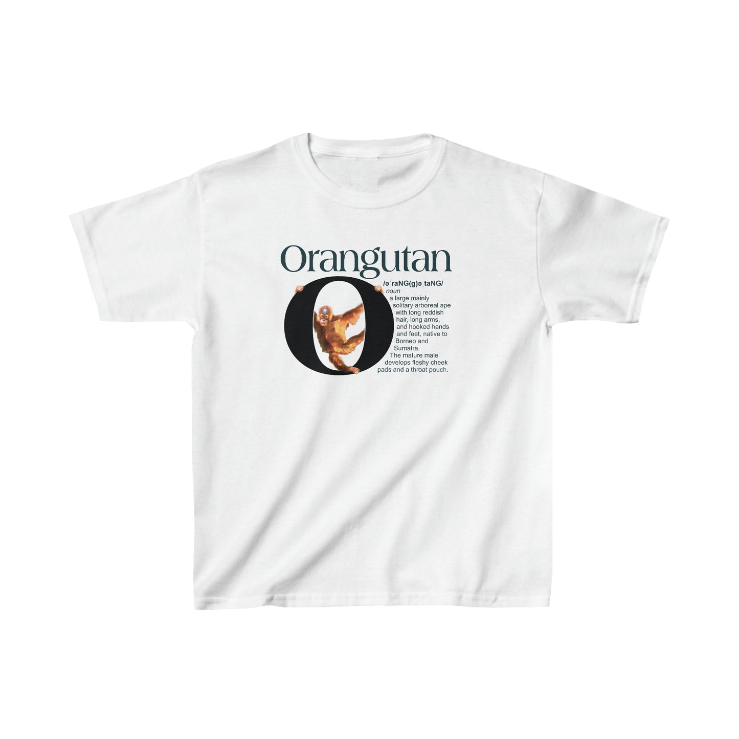 O is for Orangutan t-shirt, Funny Orangutan hanging from letter O, Drawing T-Shirt, animal t-shirt, animal alphabet T, animal letters Tee