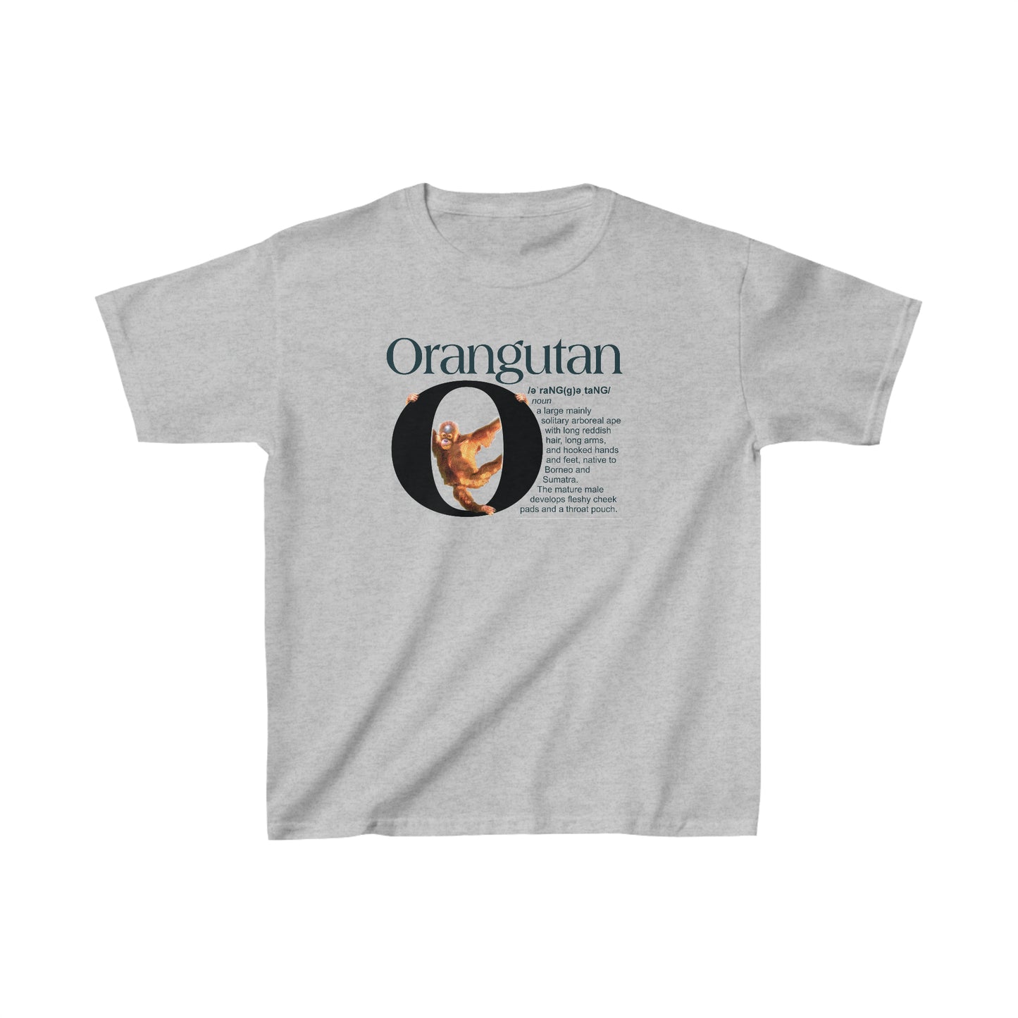 O is for Orangutan t-shirt, Funny Orangutan hanging from letter O, Drawing T-Shirt, animal t-shirt, animal alphabet T, animal letters Tee